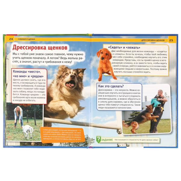 Энциклопедия с развивающими заданиями «Собаки и щенки». Формат: А4 48стр, Умка