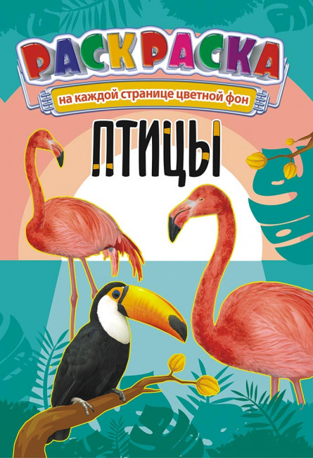 Раскраска (А5) РКС-962