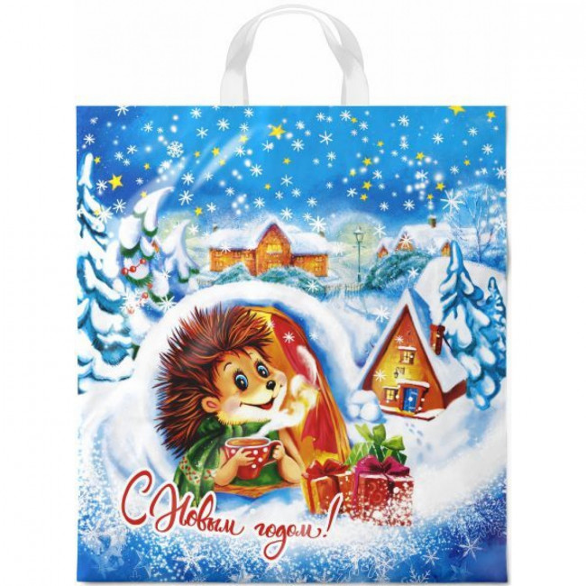 Пакет ПНД НГ петлевой (38*42) 40 мкм "Морозное утро" (25)