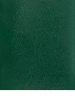 Тетрадь 48 клетка, скрепка, бумвинил, зелёная, Проф-Пресс/48-9535 (80)