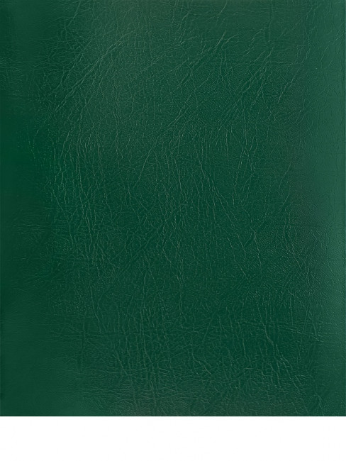 Тетрадь 48 клетка, скрепка, бумвинил, зелёная, Проф-Пресс/48-9535 (80) Тетрадь 48 клетка, скрепка, бумвинил, зелёная, Проф-Пресс/48-9535 (80)