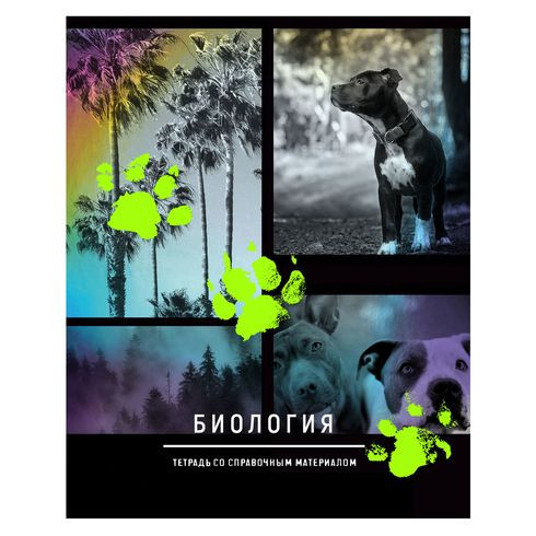 Тетрадь предметная А5 скоба 48л. клетка "Neon hype - биология" неоновая краска, справочный материал на форзаце, титульном листе BG (10/60) Тетрадь предметная А5 скоба 48л. клетка "Neon hype - биология" неоновая краска, справочный материал на форзаце, титульном листе BG (10/60)