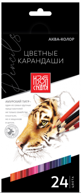Набор цветных карандашей 24цв "Изостудия" Аква-колор Набор цветных карандашей 24цв "Изостудия" Аква-колор
