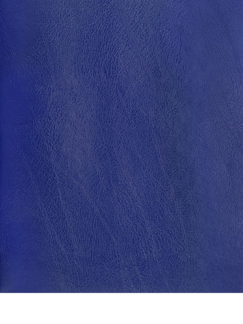 Тетрадь 48 клетка, скрепка, бумвинил, синяя, Проф-Пресс/48-9534 (80)