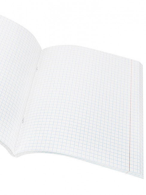 Тетрадь 48 клетка, скрепка, бумвинил, синяя, Проф-Пресс/48-9534 (80)