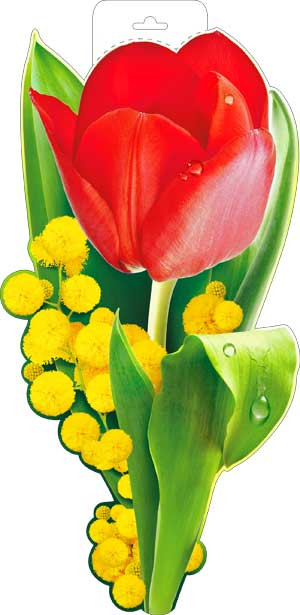 Плакат "Весенние цветы" р34-72 (10)