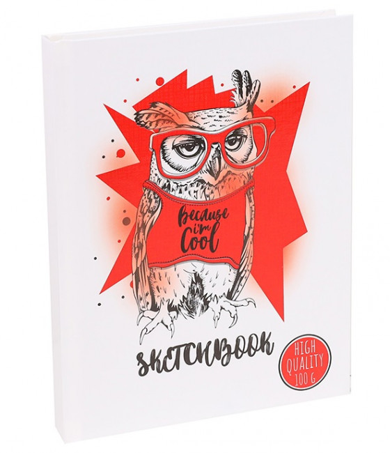 Скетчбук А5 Цветной элемент. Сова (7БЦ, 96 л, 100г, лён+гл лам) 96-9322