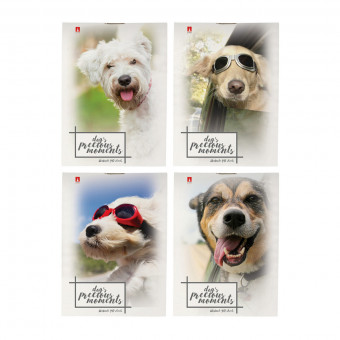 Блокнот А7 40л клетка "Щеночки", 4 вида ассорти, BV/3-40-107 (100)