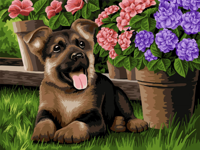 Набор для раскрашивания по номерам 40 х 30см "В ожидании прогулки" №64, на холсте, ФРЕЯ/PNB/R2 №64 Набор для раскрашивания по номерам 40 х 30см "В ожидании прогулки" №64, на холсте, ФРЕЯ/PNB/R2 №64