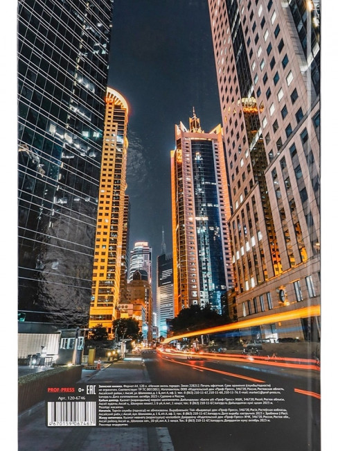 Записная книжка А4 120л клетка "Ночная жизнь города", 7БЦ, склейка, Проф-Пресс/120-6746 (10)