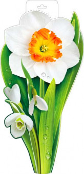 Плакат "Весенние цветы" р34-73 (10)