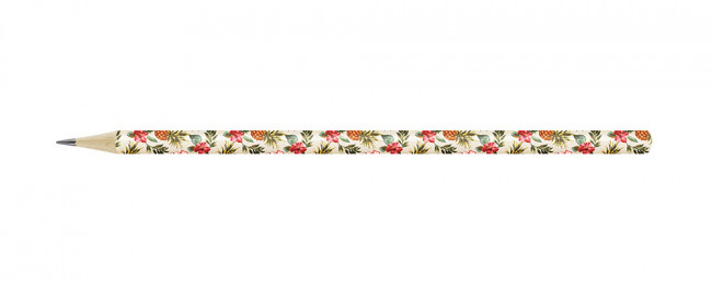 Карандаш графитный ТМ (HB)  круглый, заточенный, "Hot Print. Тропики", ВКФ/HP01-12Д -3031 (12)