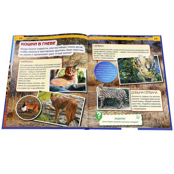 Энциклопедия с развивающими заданиями в твёрдом переплёте «Дикие кошки». Формат: 197 х 255мм 48стр, Умка Энциклопедия с развивающими заданиями в твёрдом переплёте «Дикие кошки». Формат: 197 х 255мм 48стр, Умка