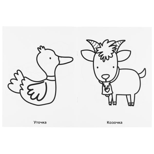 Раскраска для детского сада «Домашние животные». Формат: 214х290мм 8стр, Умка