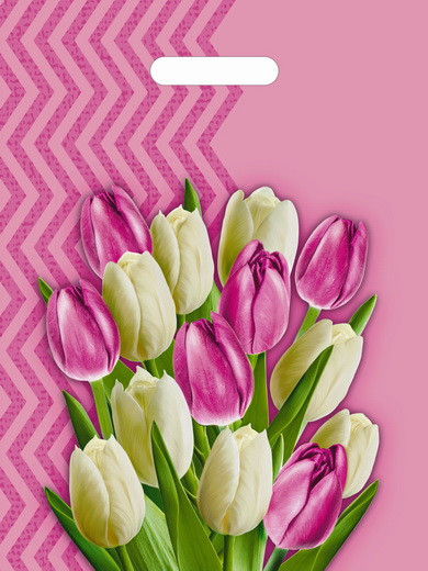 Пакет ПВД (30*40) 50 мкм "Диана"