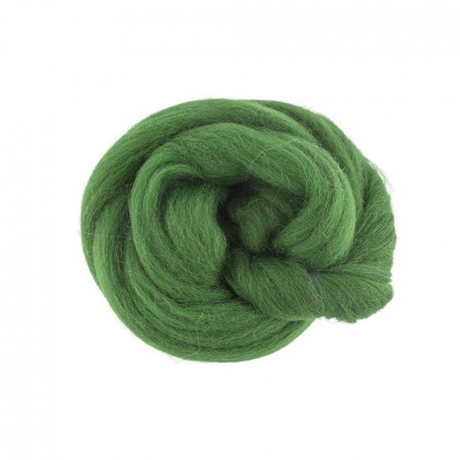 Шерсть для валяния 50г 100% полутонкая шерсть, киви №1362, Gamma/TFS-050