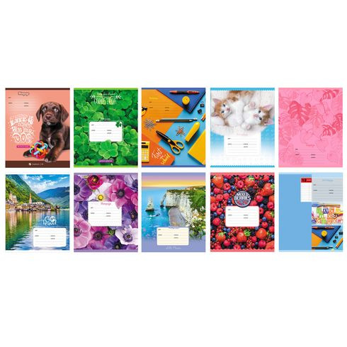 Тетрадь школьная А5 скоба 12л. одна линия "MIX-10 Девочки" (ассорти) 10 дизайнов BG (20/240)