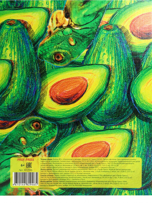 Тетрадь А5+ 80 клетка "Хамелеоны и авокадо", на кольцах, Prof-Press/80-2946