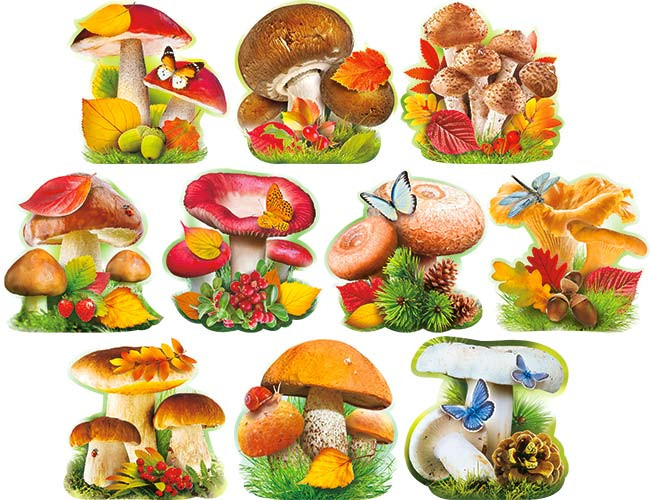 Набор "Грибы" 10шт, нр-33