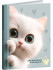 Записная книжка А7 48л клетка "Обаятельные котята", склейка, Проф-Пресс/48-8636 (40)