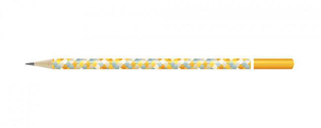 Карандаш графитный ТМ (HB) круглый, заточенный, "Hot Print. Чешуя", ВКФ/HP01-12Д -3035 (12) Карандаш графитный ТМ (HB) круглый, заточенный, "Hot Print. Чешуя", ВКФ/HP01-12Д -3035 (12)