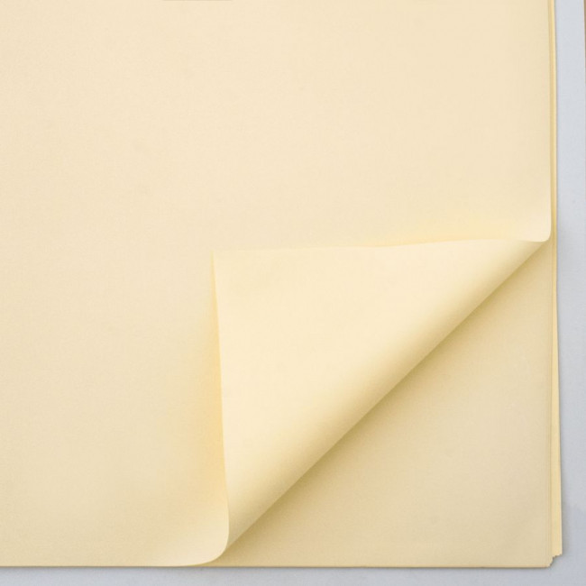 Пленка матовая 58х58см, однотонная, шампань (20 шт./уп.)