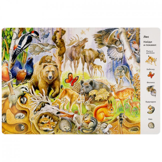 Развивающая книга «Виммельбух. Животные» из серии «Найди и покажи». Формат: 235 х 315мм 12стр, Умка