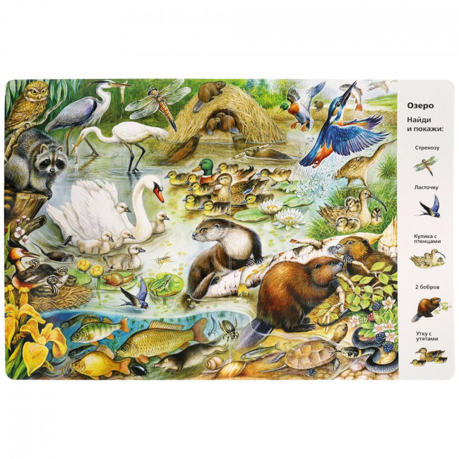 Развивающая книга «Виммельбух. Животные» из серии «Найди и покажи». Формат: 235 х 315мм 12стр, Умка