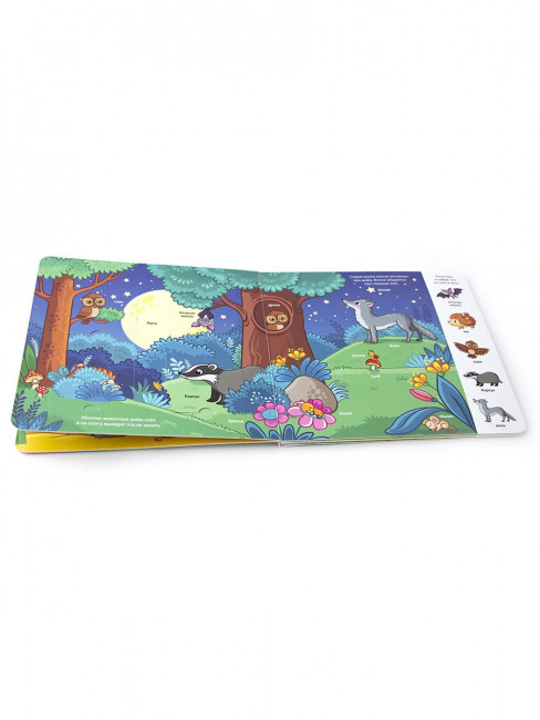 Книжка с окошками "Лес. Мои первые слова". Формат: 16х16см 10стр, MaLaMaLaMa