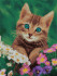 Алмазная мозаика 30*40 на подрамнике "Lovely eyes", полная выкладка, VA023