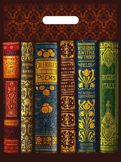 Пакет ПВД (30*40) 50 мкм "Книги"