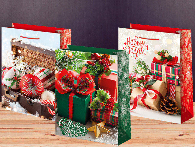 Пакет подарочный 14см х 20см, матовая ламинация, ассорти, Микрос/Ч45273 (12)