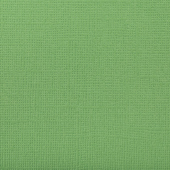 Бумага 30.5x30.5 см 216 г/кв.м для скрапбукинга "Авокадо" зелёный, 10л, Mr.Painter /PST №59 Бумага 30.5x30.5 см 216 г/кв.м для скрапбукинга "Авокадо" зелёный, 10л, Mr.Painter /PST №59