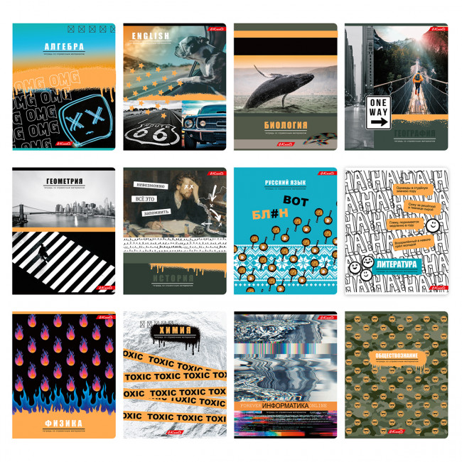 "SVETOCH"   Комплект предметных тетрадей "Разные интересы"   A5+   48 л.  12 шт.  на скобе   клетка/линия Алгебра,Английский,Биология,География,Геометрия,Физика,Химия,История,Русский,Литература,Обществознание,Информатика 48КТСК5_000196