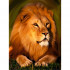 Алмазная мозаика 30*40 на подрамнике "Majestic lion", полная выкладка, VA002 Алмазная мозаика 30*40 на подрамнике "Majestic lion", полная выкладка, VA002