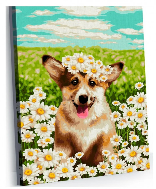 Картина по номерам  "Корги в ромашках" 40см*50см, GLA22, мягкая упаковка
