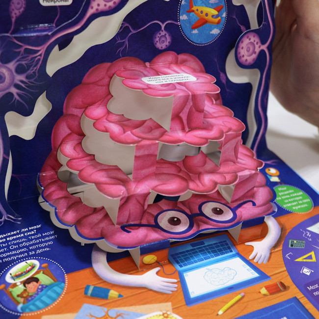 Энциклопедия- панорамка "Анатомия" с объемными иллюстрациями. Формат: 26х20см 10стр, MaLaMaLaMa Энциклопедия- панорамка "Анатомия" с объемными иллюстрациями. Формат: 26х20см 10стр, MaLaMaLaMa