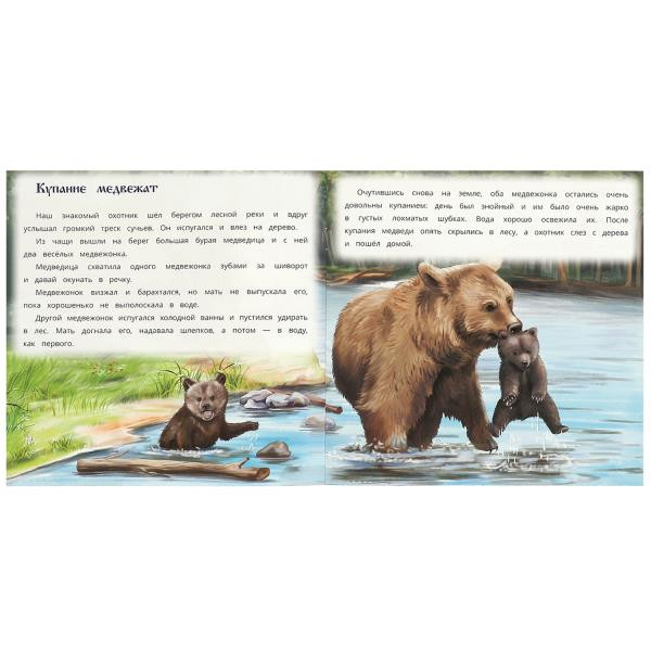 Книга «В. В. Бианки. Хитрый Лис и Умная Уточка» из серии «Рассказы о животных». Формат: 210х210мм 16стр, Умка Книга «В. В. Бианки. Хитрый Лис и Умная Уточка» из серии «Рассказы о животных». Формат: 210х210мм 16стр, Умка