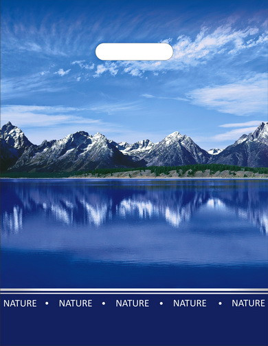 Пакет ПВД (31*40) 60 мкм "Озеро" (50)