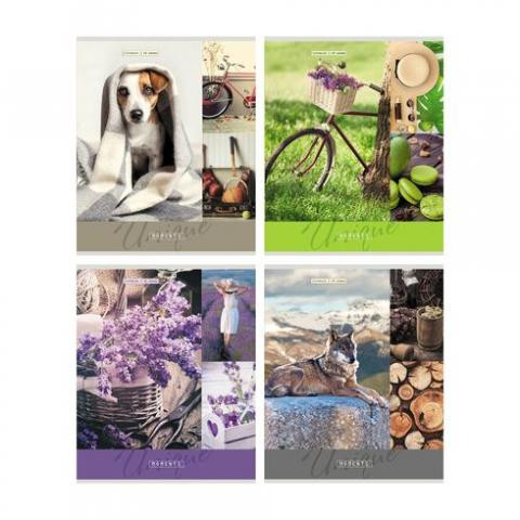 Тетрадь общая А5 скоба 48л. клетка "Moments" (ассорти) BG (8/56)