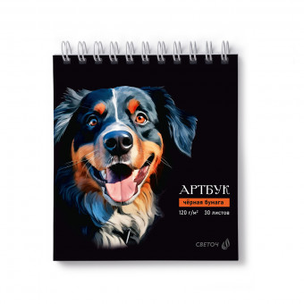 Артбук 166*175 мм 30л "Берн", на гребне, блок чёрный, Светоч/А306_01940 (2/16)