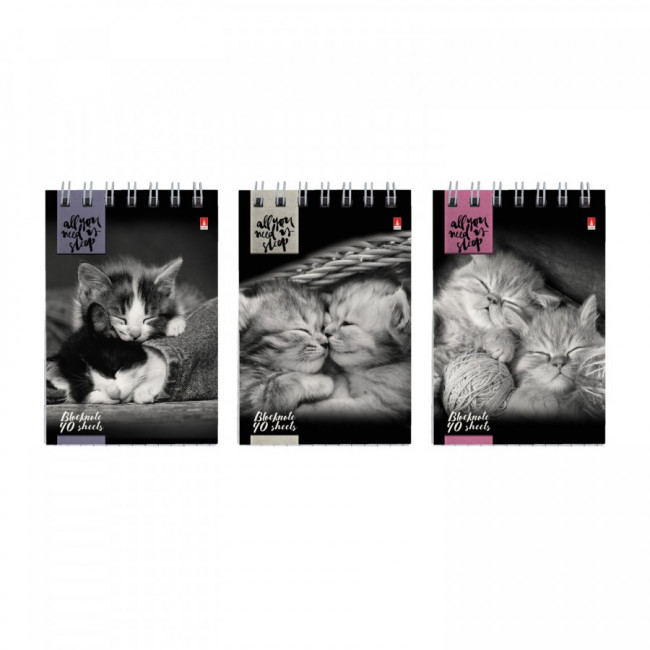 Блокнот А7 40л клетка "Кошачий взгляд", 3 вида ассорти, BV/3-40-007 (50)
