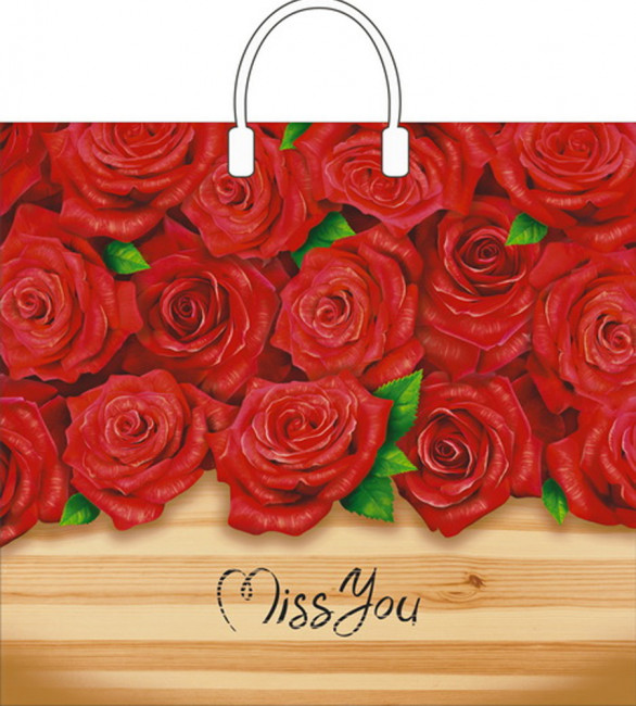 Пакет ПВД (30*40) 30-35  мкм "Аппликация"