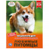 Энциклопедия с развивающими заданиями «Любимые питомцы». Формат: А4 48стр, Умка Энциклопедия с развивающими заданиями «Любимые питомцы». Формат: А4 48стр, Умка