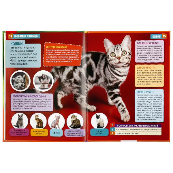 Энциклопедия с развивающими заданиями «Любимые питомцы». Формат: А4 48стр, Умка Энциклопедия с развивающими заданиями «Любимые питомцы». Формат: А4 48стр, Умка