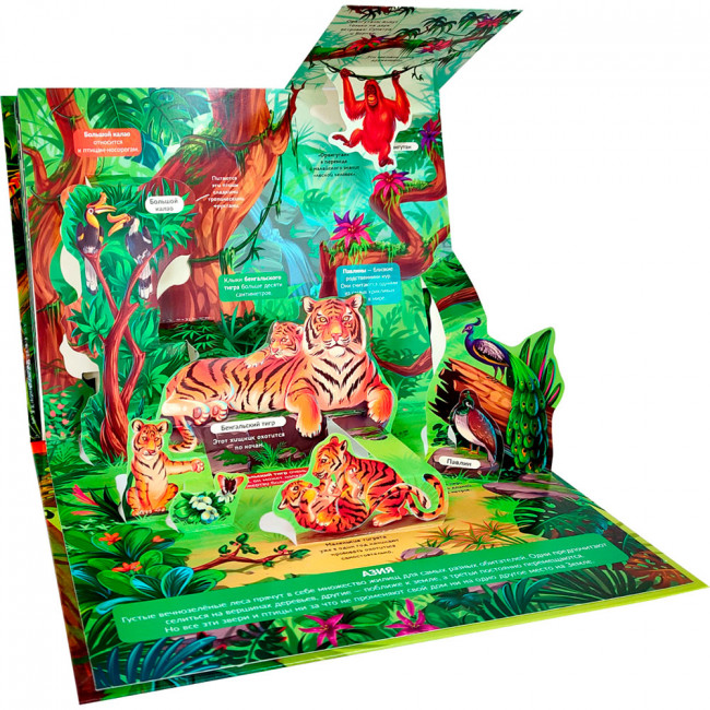 Энциклопедия- панорамка "Джунгли" с объемными иллюстрациями. Формат: 26х20см 10стр, MaLaMaLaMa Энциклопедия- панорамка "Джунгли" с объемными иллюстрациями. Формат: 26х20см 10стр, MaLaMaLaMa