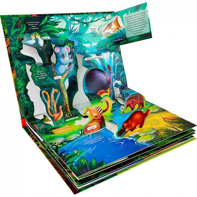 Энциклопедия- панорамка "Джунгли" с объемными иллюстрациями. Формат: 26х20см 10стр, MaLaMaLaMa Энциклопедия- панорамка "Джунгли" с объемными иллюстрациями. Формат: 26х20см 10стр, MaLaMaLaMa