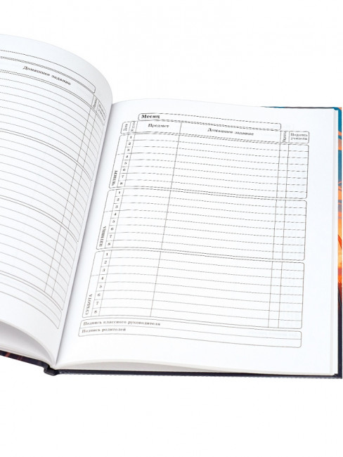 Дневник А5 40л 1-11 класс "Велосипед в поле", сшивка, Profit/Д40-2193 (24)