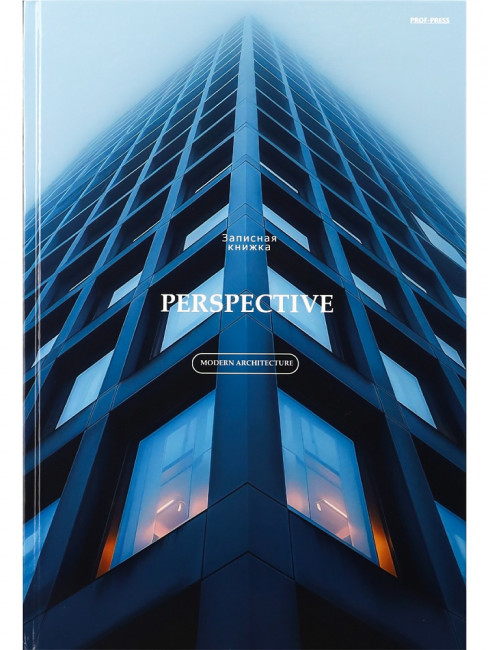 Записная книжка А4 200л клетка "Архитектура современности", 7БЦ, склейка, Проф-Пресс/200-1157 (6)