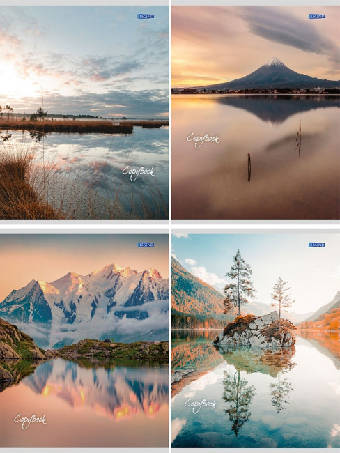 Тетрадь 96 клетка "Виды природы-1" скрепка, Проф-Пресс/96-8402 (48)